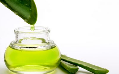 Astuces naturelles : les avantages d’utiliser l’Aloe vera